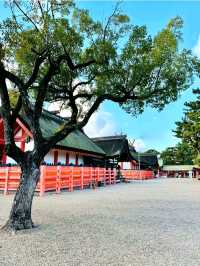 Walking Around Sumiyoshi Taisha – A Peaceful Step Back in Time