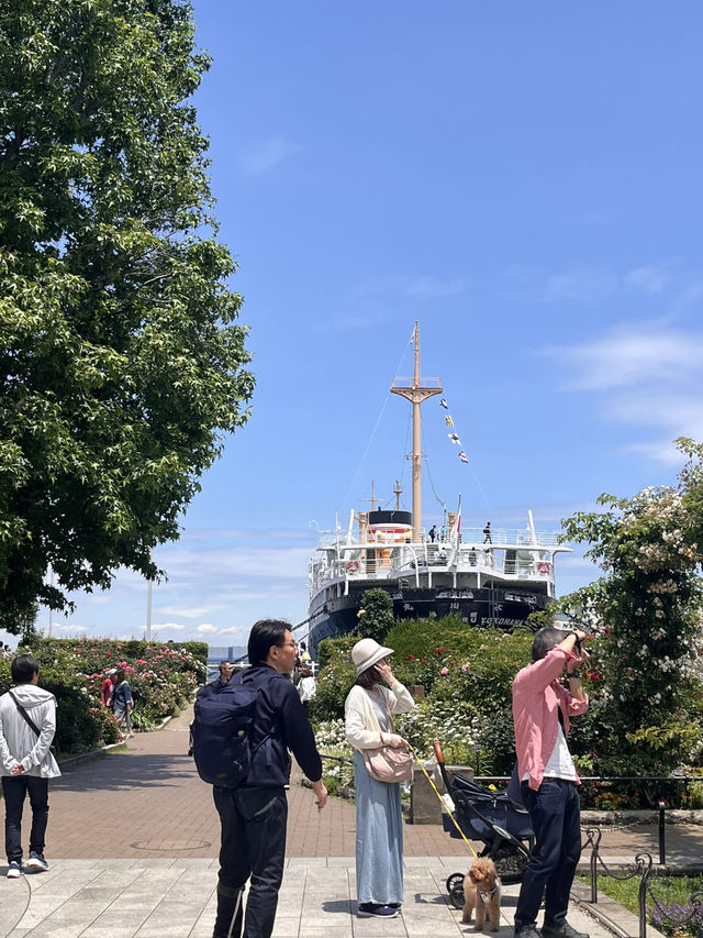 Yamashita Park, is a scenic seaside park in Naka‑ku, Yokohama