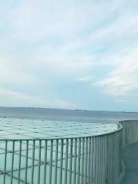 🏛️横須賀美術館 - 海と山に抱かれるアートの空間