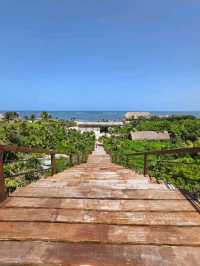 Jungle Trails and Beach Views at Parque del Jaguar