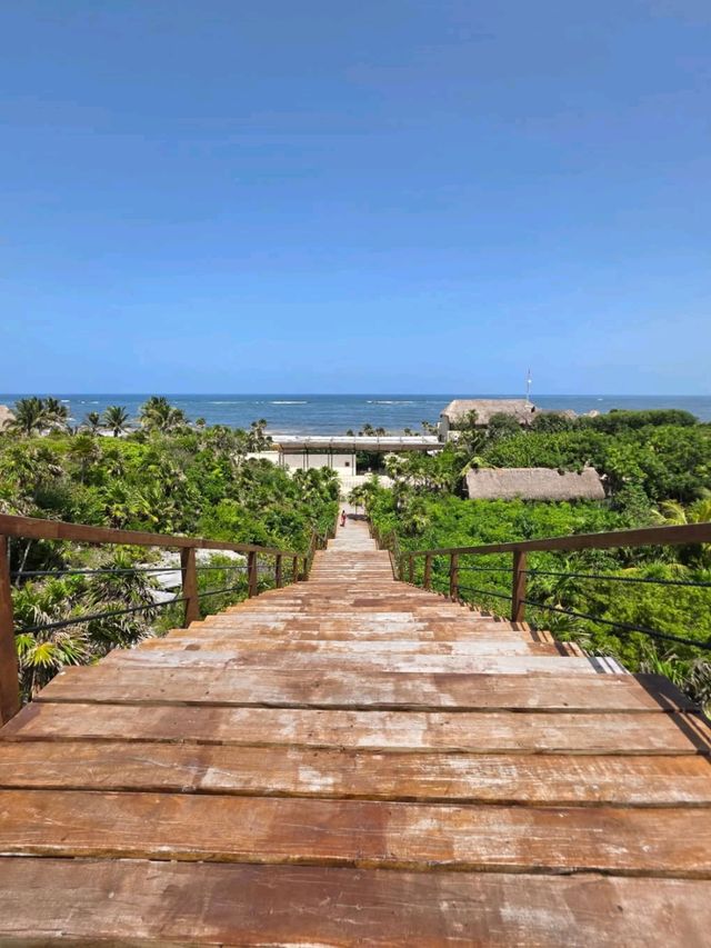 Jungle Trails and Beach Views at Parque del Jaguar