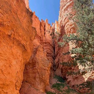 Bryce Canyon – “A Cathedral of Hoodoos and Light”