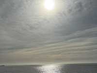 This is Real or a picture