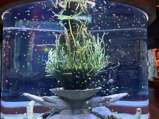 หลบร้อนจาก fun park มา Aquarium @ Vinwonder