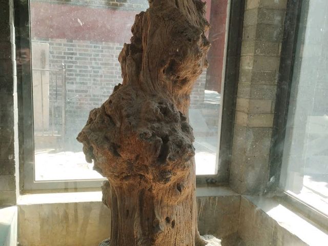 Confucius Temple (Qufu, Shandong)