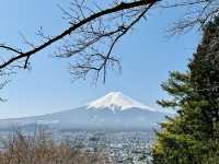 新倉富士淺間神社:捕捉富士山最經典的瞬間