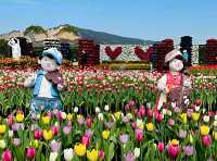 Zhongshe Flower Market Taiwan: Fields of Colorful Dreams