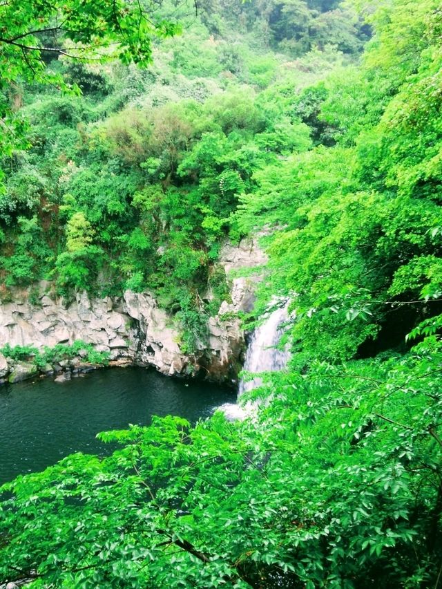 ソウルから気軽にいける韓国のハワイ、チェジュ島