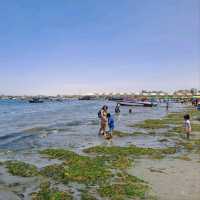 Exploring the Natural Wonders of Paracas and the Ballestas Islands