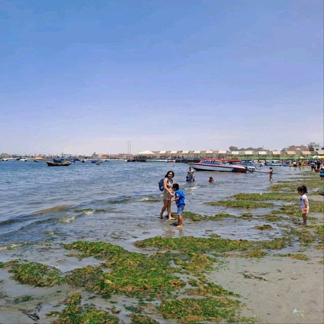 Exploring the Natural Wonders of Paracas and the Ballestas Islands