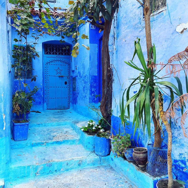 Discovering the Magic of Chefchaouen