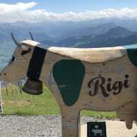 【スイス】オススメスポット🇨🇭