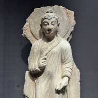 A Solo Trek Through Ancient Civilizations: India, Gandhara, Egypt & West Asia 🐫