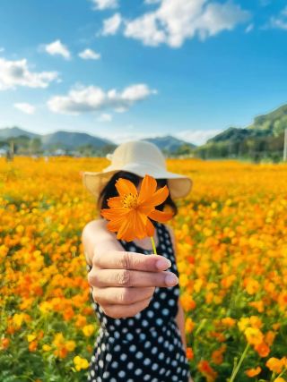 【ปูซาน｜City Melody in the Sea Breeze】