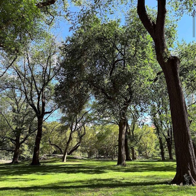 Central Park (NY)