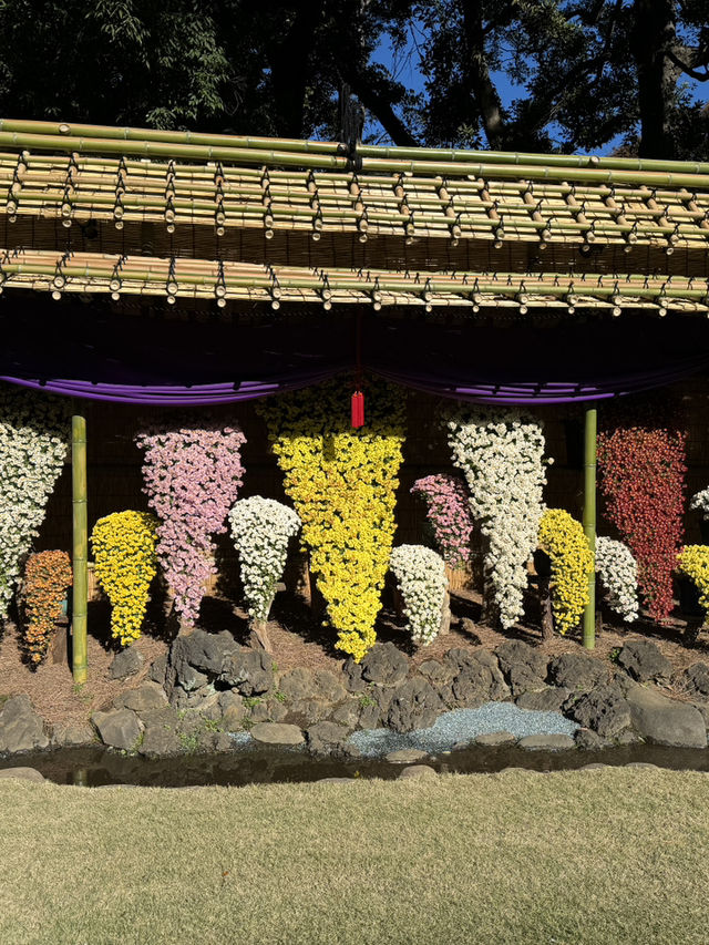 東京|新宿御苑|東京紅葉名所|都市中的秋色庭園   新宿御苑位於東京市中心,是日本最著名的庭園之一,也是「日本紅葉名所百選」的代表景點。園內約1,000株楓樹、銀杏與櫻花樹在秋季(約11月中旬至12月 東京|新宿御苑|東京紅葉名所|都市中的秋色庭園   新宿御苑位於東京市中心,是日本最著名的庭園之一,也是「日本紅葉名所百選」的代表景點。園內約1,000株楓樹、銀杏與櫻花樹在秋季(約11月中旬至12月
