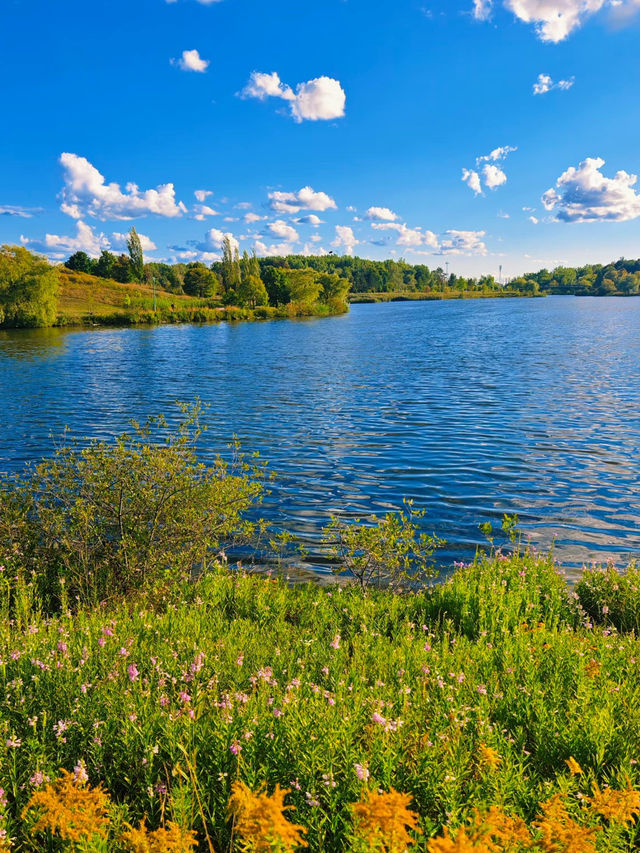 Parc de la Cité – A Green Haven in Longueuil