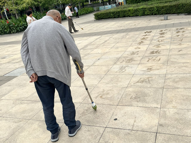 🌿 Wenbo Park — A Green Pause Beside Henan Museum 🌿 Wenbo Park — A Green Pause Beside Henan Museum