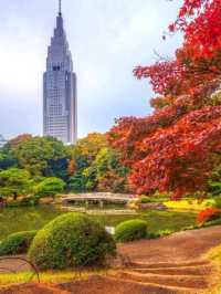Shinjuku Gyoen National Garden