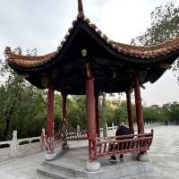 🌿 Zijing Mountain Park — Zhengzhou’s Peaceful Parkland with a Feathered Twist