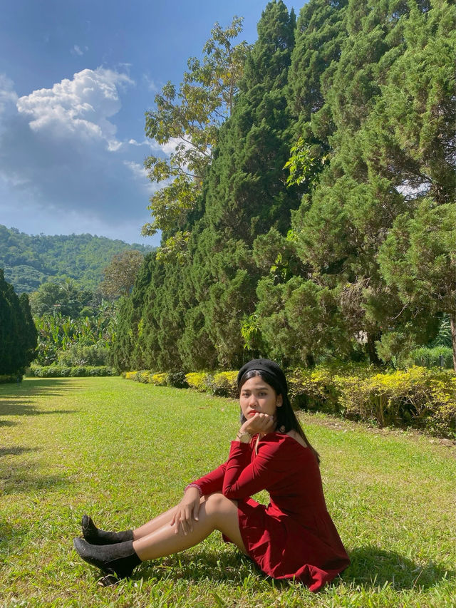 🌲☕ Cypress Lanes, Chiang Mai 🏞️✨