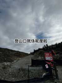做少啲功課功課🤣，今次我就做咗大冤種啦