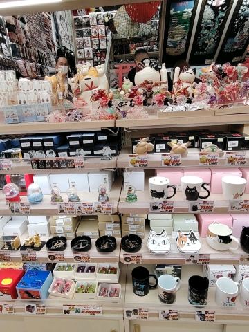Souvenir Heaven 🎁✨ Things You Must Bring Home from Japan | Trip