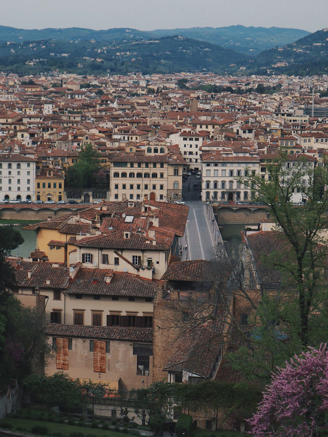 5월에 피렌체를 간다면 필수 코스임 5월에 피렌체를 간다면 필수 코스임