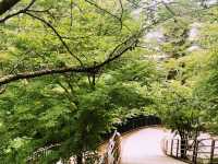 新倉富士浅間神社──忠靈塔下的富士絕景