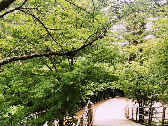 新倉富士浅間神社──忠靈塔下的富士絕景