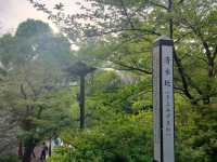 เชคอิน Kiyomizu Kannon-dō Temple ที่ Ueno Park