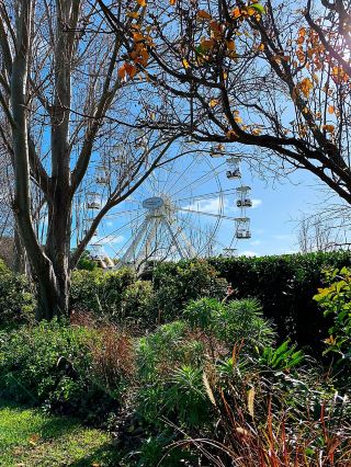 Hunter Valley's Four Seasons Fantasy Gardens
