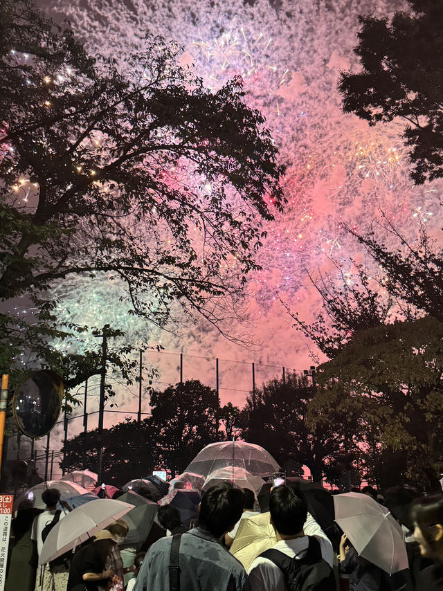 日本獨旅看了好看的煙火