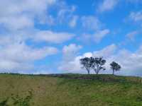 View of Auckland from the top of Mount Eden