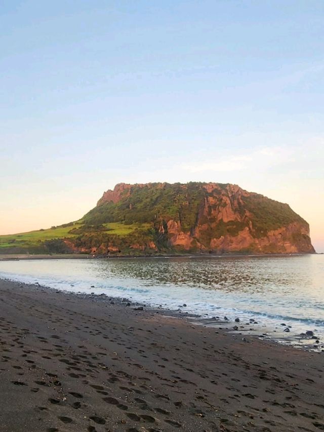 Sun-Kissed Adventures on Jeju Island! ☀️✨