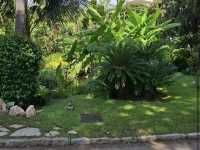 Jardins de la Petite Afrique