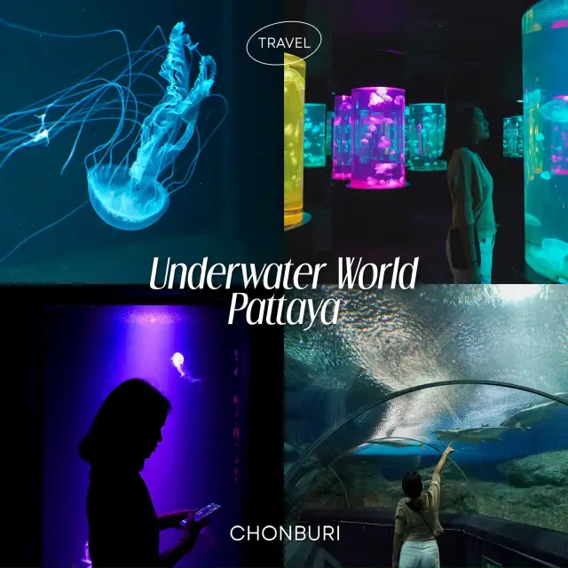 เสพบรรยากาศโลกใต้ทะเล Under Water World Pattaya