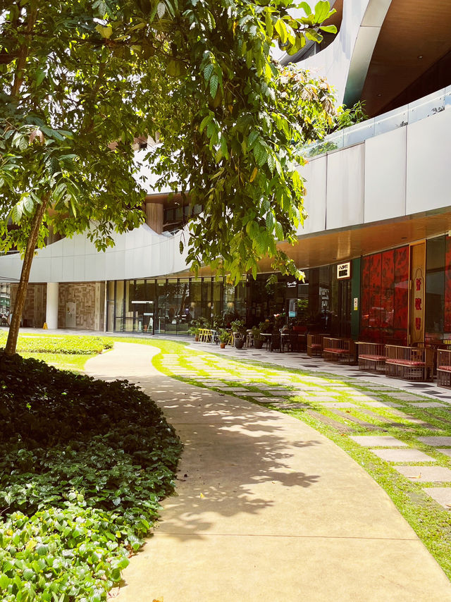 Starling Mall’s Green Oasis: An Urban Park for Slow Living 🌳🚶♀️