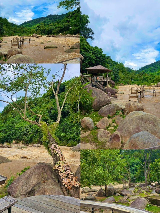🌲 Stay Wild & Cafe แม่แตง! 🌲