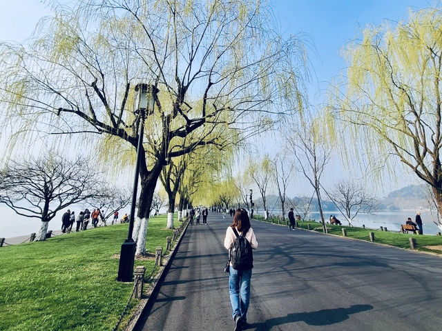 入秋的西湖:一湖秋水一城詩意 入秋的西湖:一湖秋水一城詩意
