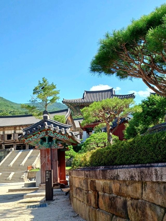 고즈넉한 산사의 평화, 화엄사