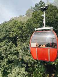 🐻✨【熊熊揮手Say Hi!】登別熊牧場親子放電大冒險!纜車上山睇靚景、餵熊熊互動超有趣、仲有鴨仔賽跑同小熊萌爆登場~一家大細一齊出發,開心又放電!
