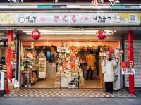 NAKAMISE STREET — The Soul of Asakusa
