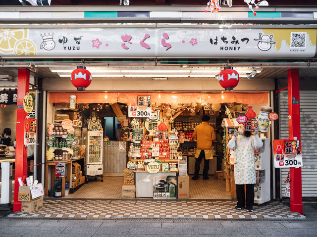 NAKAMISE STREET — The Soul of Asakusa
