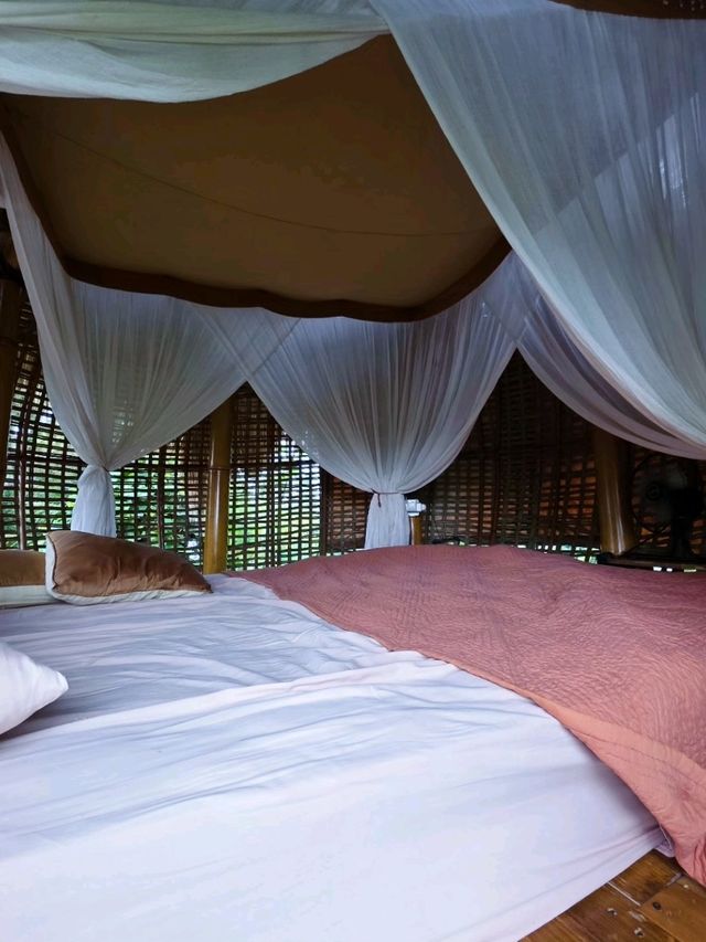 $20 Nature’s Haven in Bali