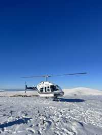 瓦納卡之樹打卡靚景🌳