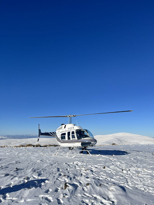 瓦納卡之樹打卡靚景🌳 瓦納卡之樹打卡靚景🌳