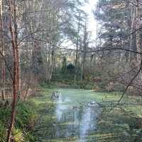 Royal Botanic Garden Edinburgh