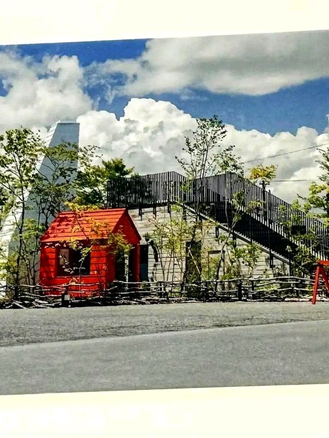 🎨 Art Above the City – Explore the Mori Art Museum, Tokyo