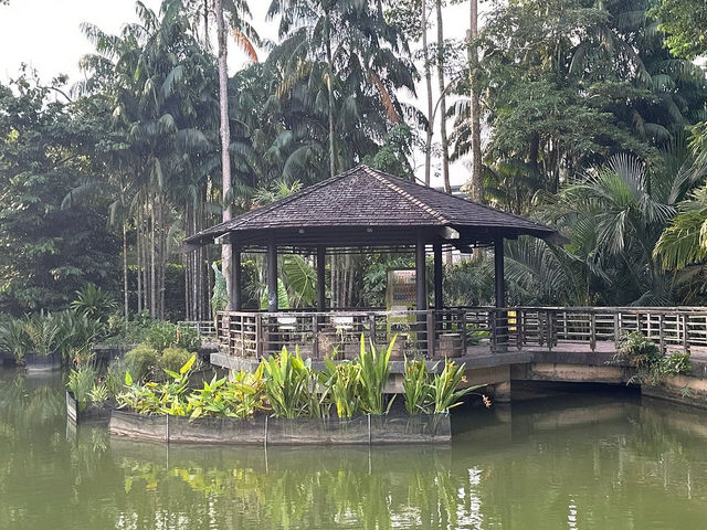 Singapore Botanic Gardens